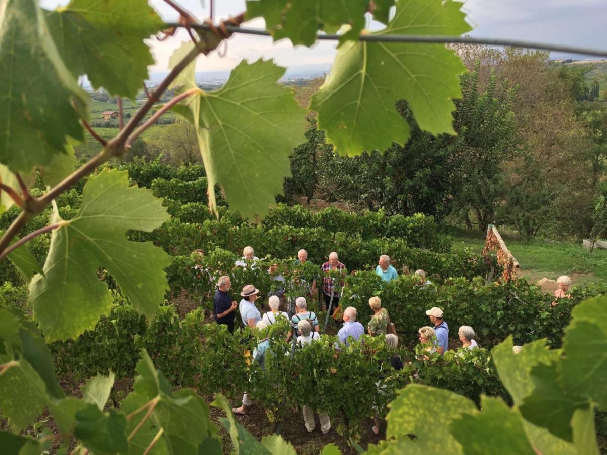 Merumalia Wine Resort 프라스카티 외부 사진
