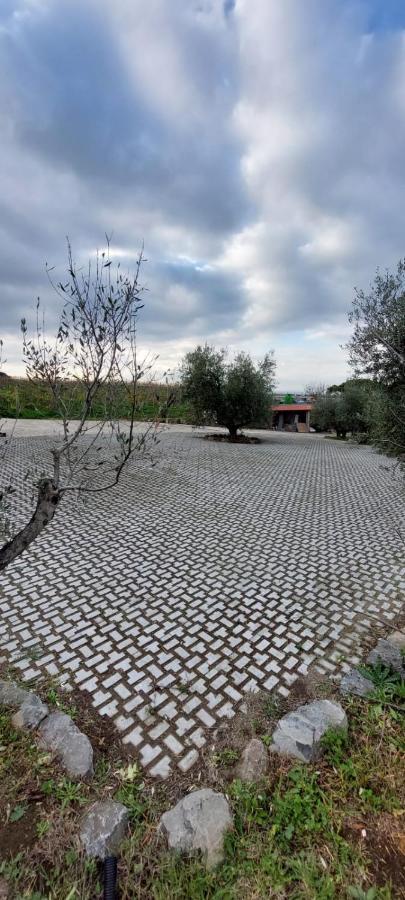 Merumalia Wine Resort 프라스카티 외부 사진
