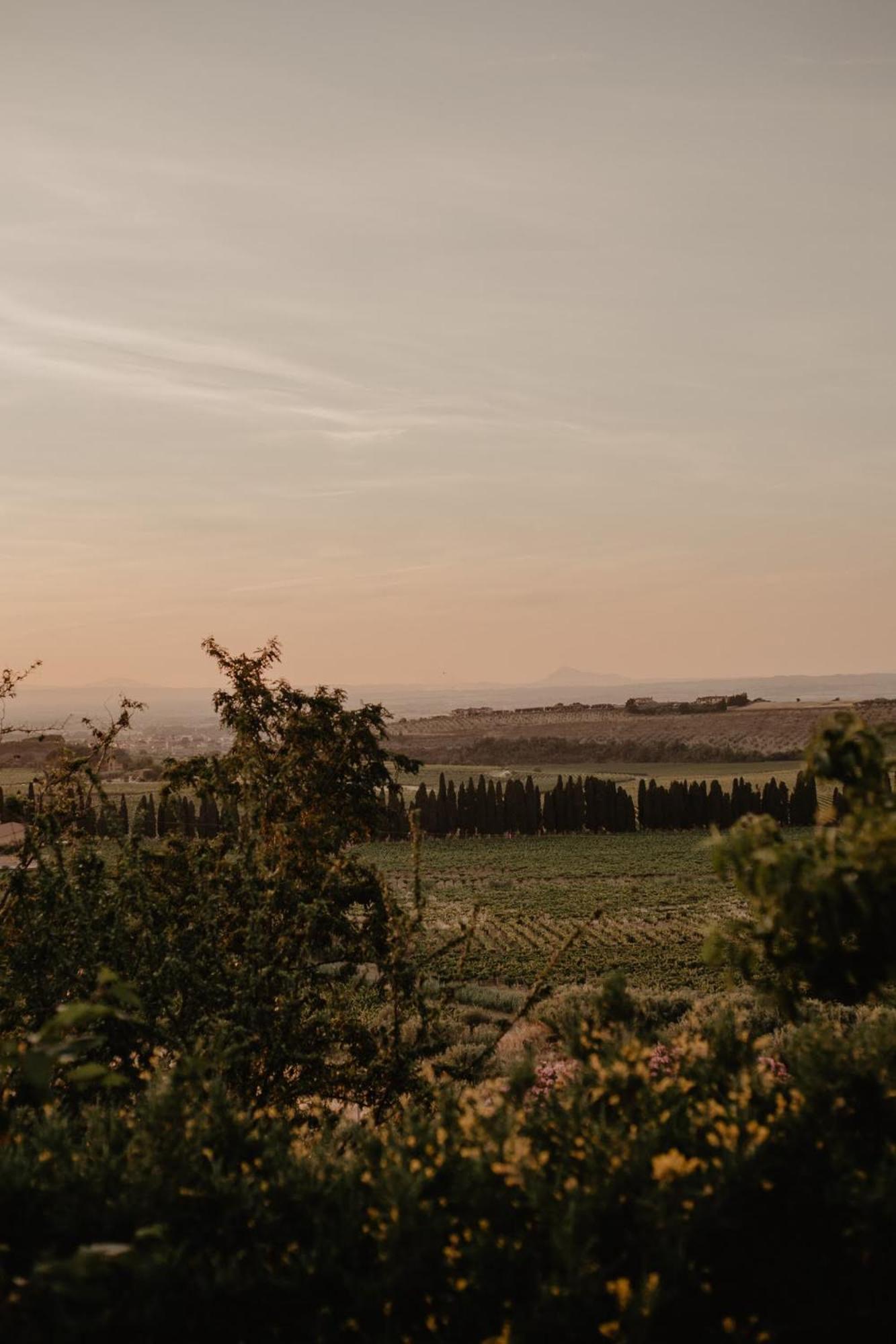 Merumalia Wine Resort 프라스카티 외부 사진