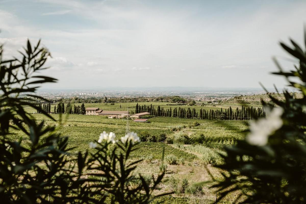 Merumalia Wine Resort 프라스카티 외부 사진