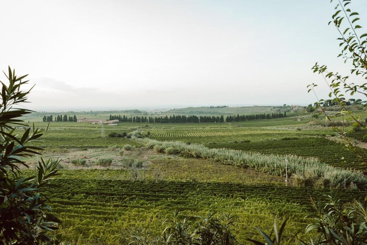 Merumalia Wine Resort 프라스카티 외부 사진
