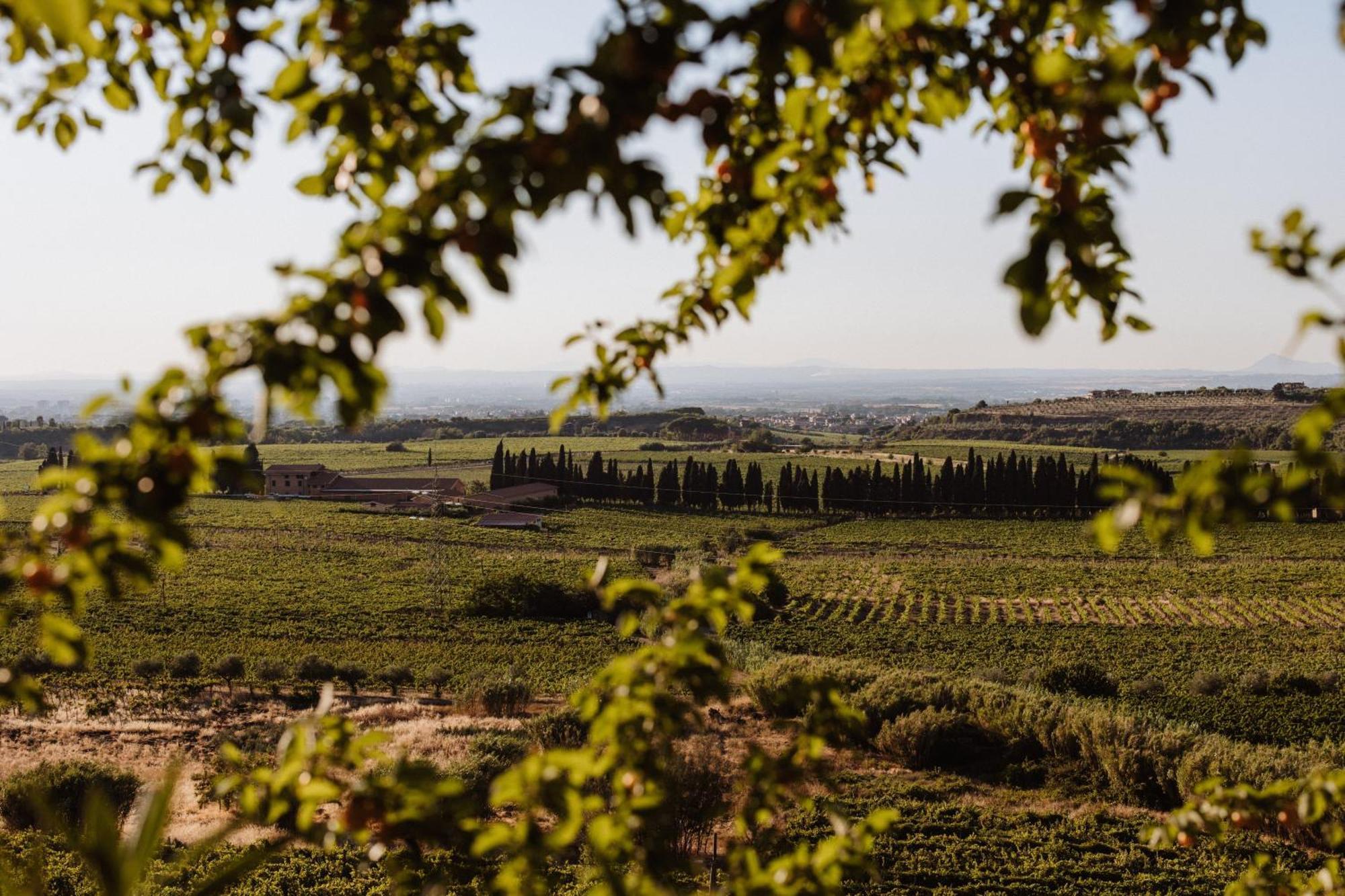 Merumalia Wine Resort 프라스카티 외부 사진